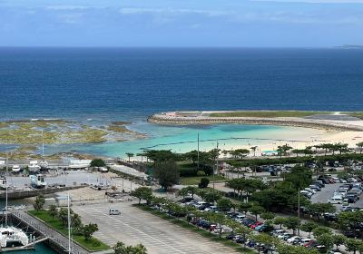 Tropical Beach