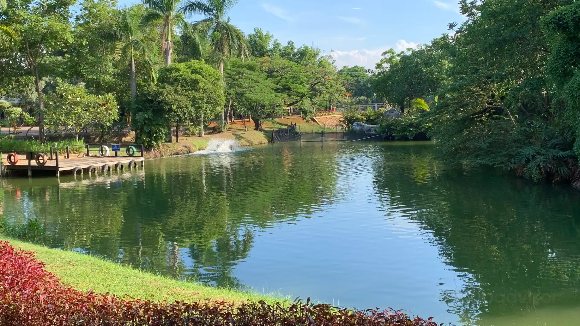 Hotels near Ocean Ecopark Ancol