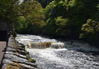 The Falls of Clyde