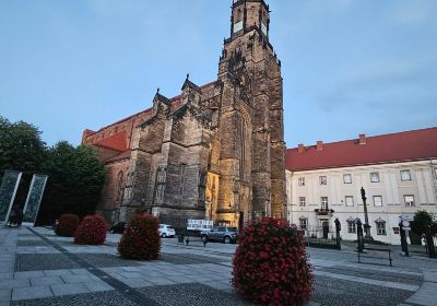 Cathedral of St. Stanislaus and St. Vaclav