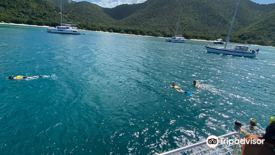 Sailing On Lady Lynsey
