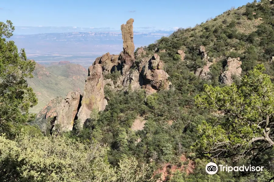 Emory Peak