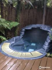 Franz Josef Glacier Hot Pools