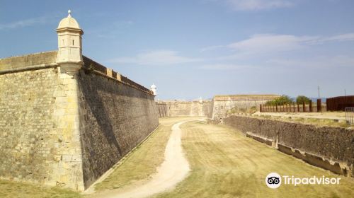 Castell de Sant Ferran