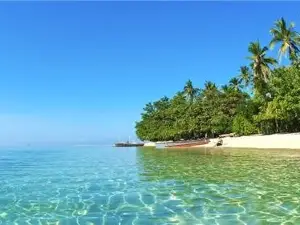 ポティポット島
