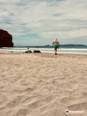 Taupo Bay Beach