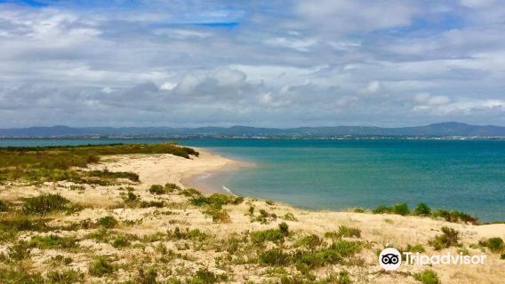 Tavira Island