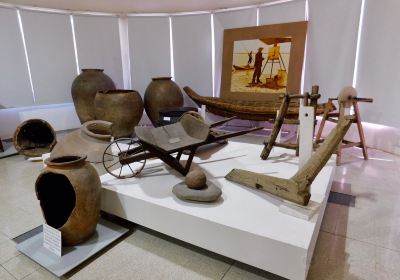 Museo de Ciencias Naturales y Antropológicas Juan Cornelio Moyano
