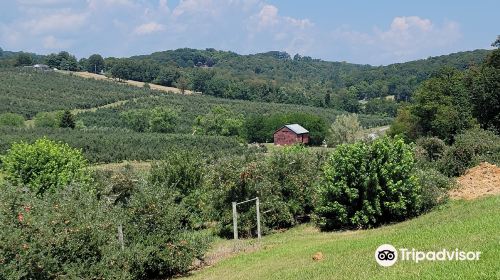 Showalter’s Orchard & Greenhouse