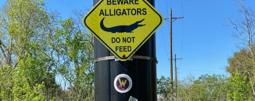 Belle Chasse