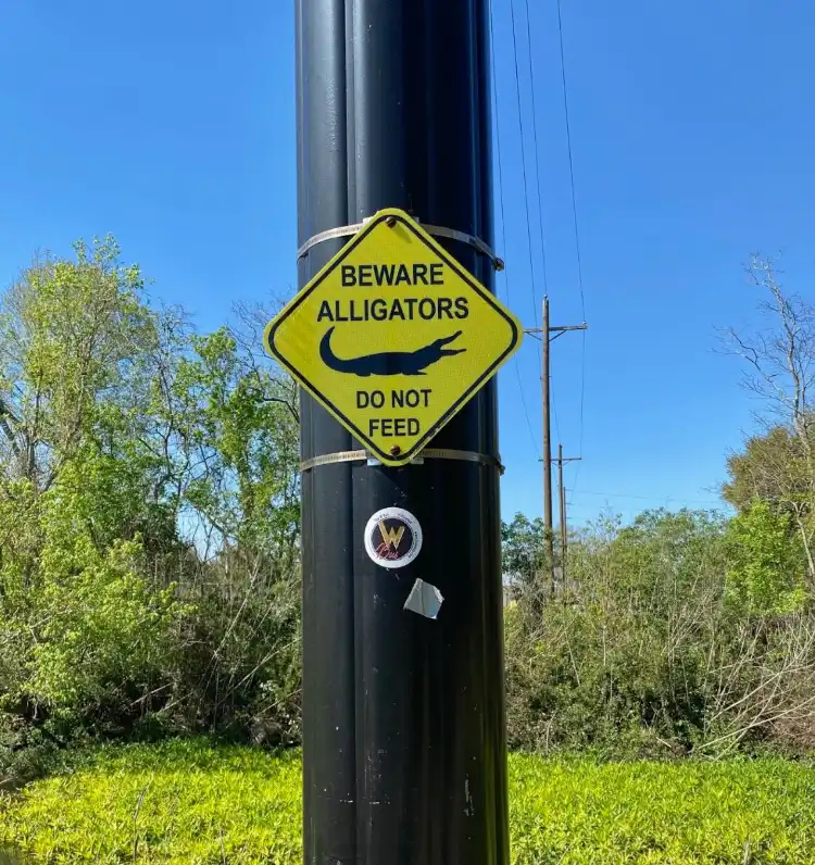 Belle Chasse
