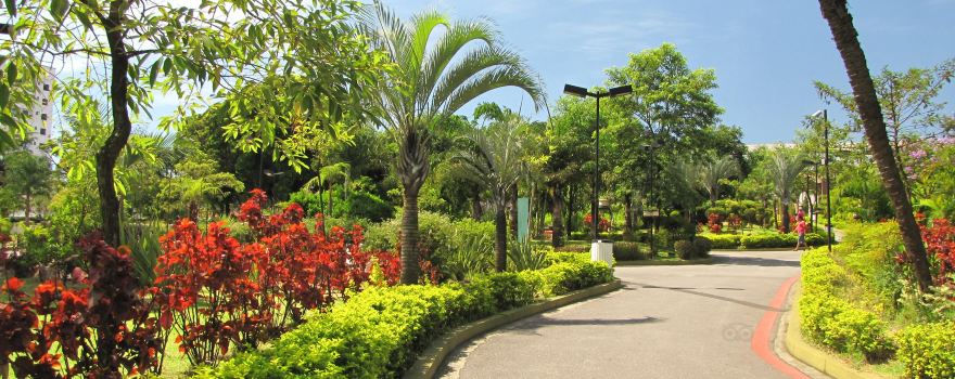 Municipal park Eng Salvador Arena