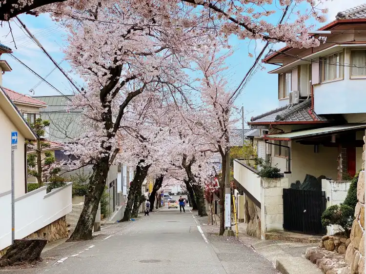 Hotels in der Nähe von Kobe City NAdaku Cherry Blossoms Tunnel