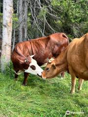 La Ferme de Seraussaix