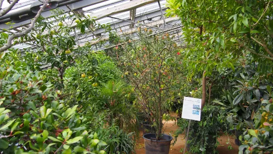 Ecological Botanical Garden