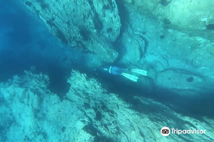 Blue Island Divers