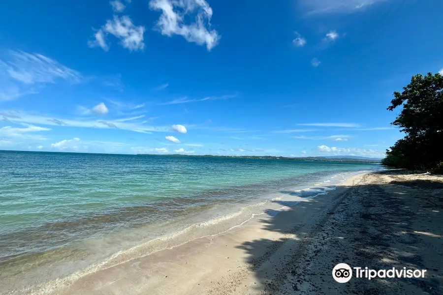 Los Pozos Beach