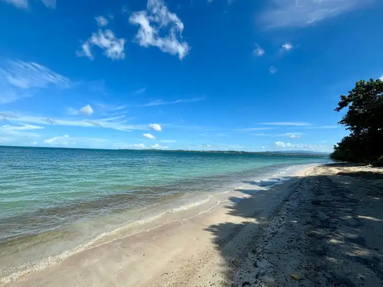 Boqueron