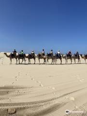 Oakfield Ranch Camel Rides