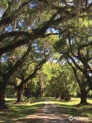 Laurel Hill County Park