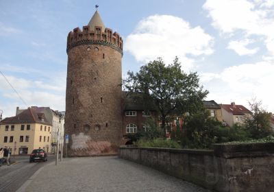 Museum Steintorturm