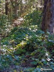 Burnt Mountain Preserve Trail