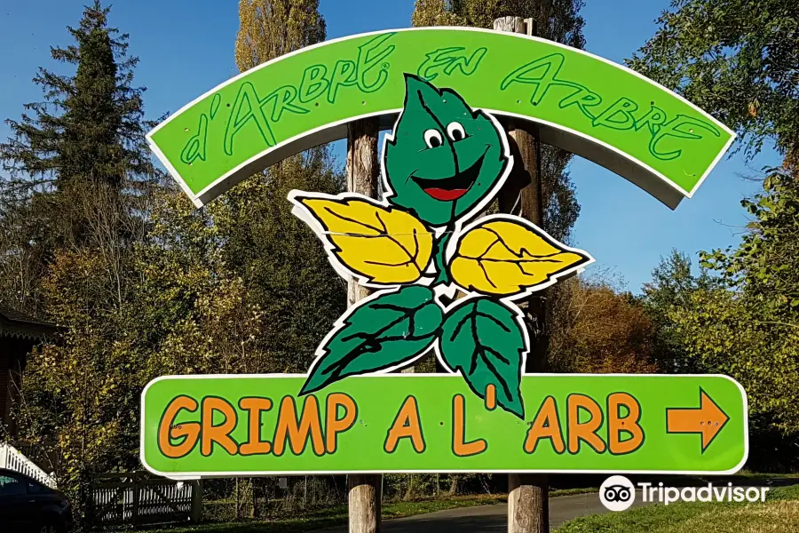 Grimp a L'Arb