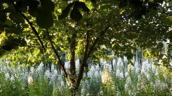 Le Jardin Plume