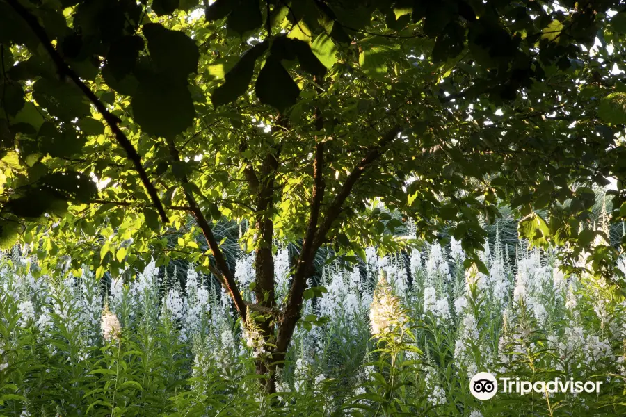 Le Jardin Plume