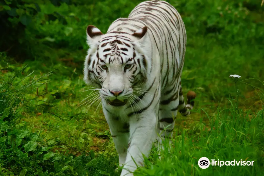 ZooParc de Tregomeur