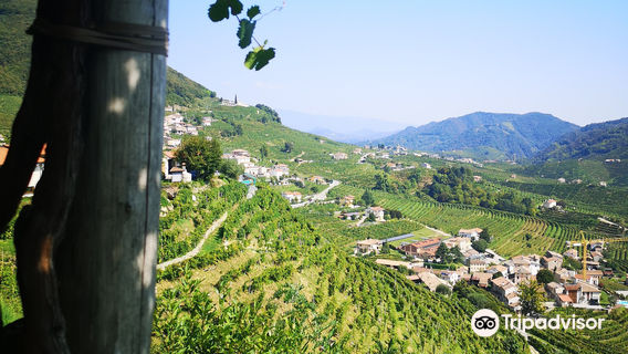 Bisol Vitivinicoltori