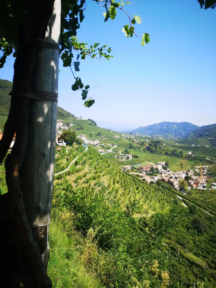 Hotels in Santo Stefano