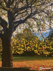 Wavertree Botanic Gardens