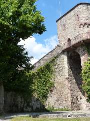 Burgruine Hohennagold