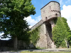 Burgruine Hohennagold