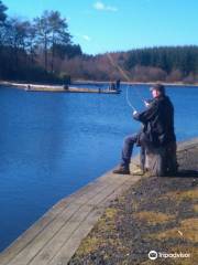 Lawfield Trout Fishery