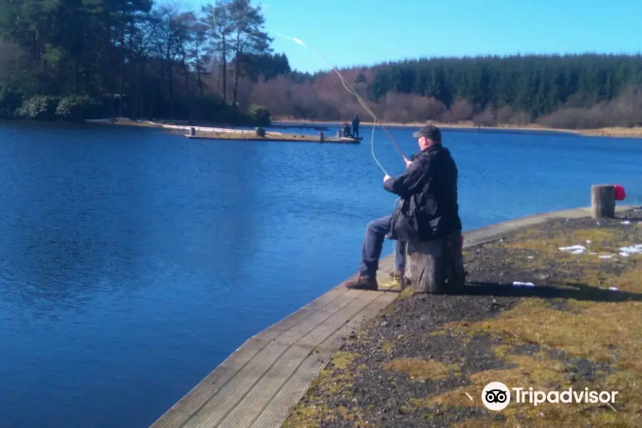 Lawfield Trout Fishery