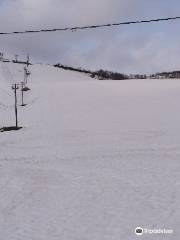 Rich Onsen Ski Resort