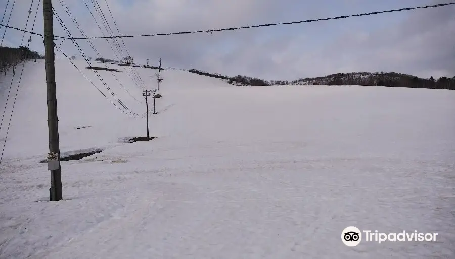 Rich Onsen Ski Resort