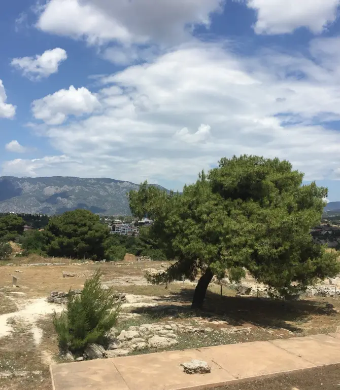 Kavos