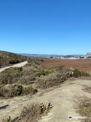 Salinas River State Beach