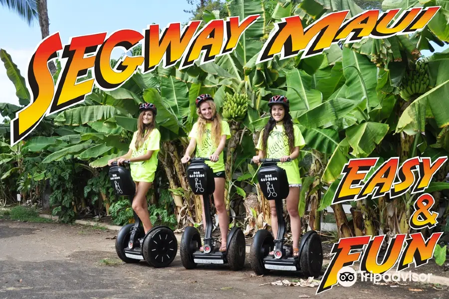 Segway Maui - The Best Segway in Hawaii (Electric Vehicles Dealership)