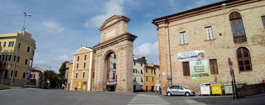 Clementine Arch