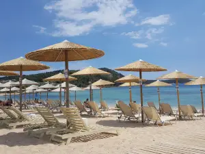 Marley beach lounge bar