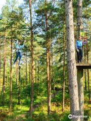 Go Ape Glentress Forest, Peebles