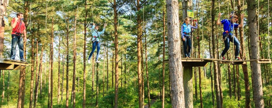 Go Ape Glentress Forest, Peebles