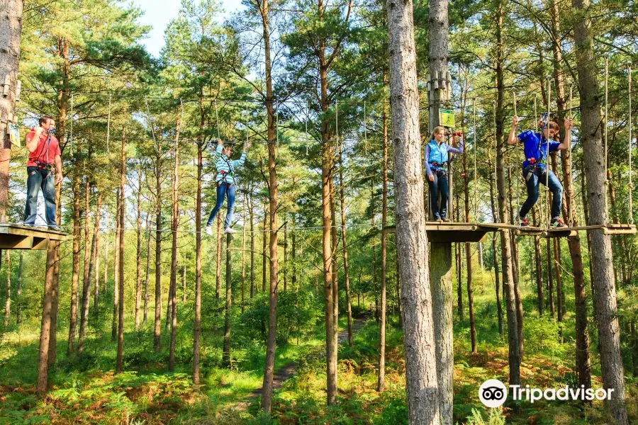 Go Ape Glentress Forest, Peebles