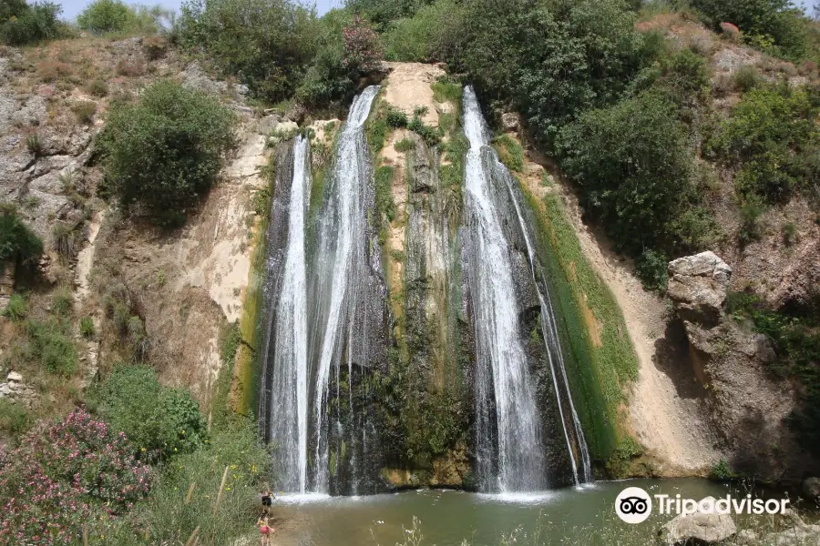 Iyon Stream Nature Reserve