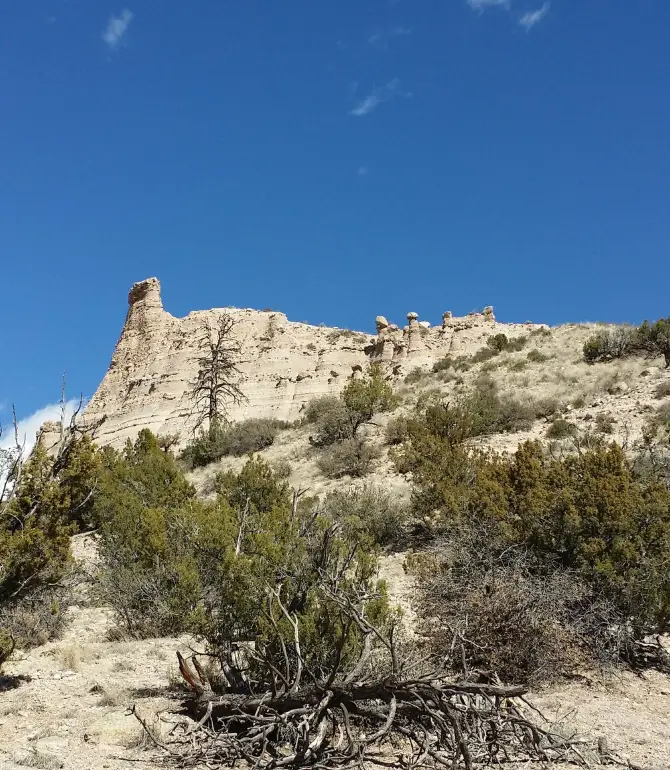 Cochiti