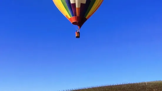 Balloons Over Paso